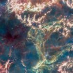 Сеанс 6 декабря 2025 года