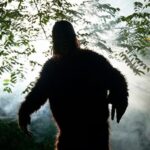 Жители американского Огайо за неделю видели снежного человека 7 раз